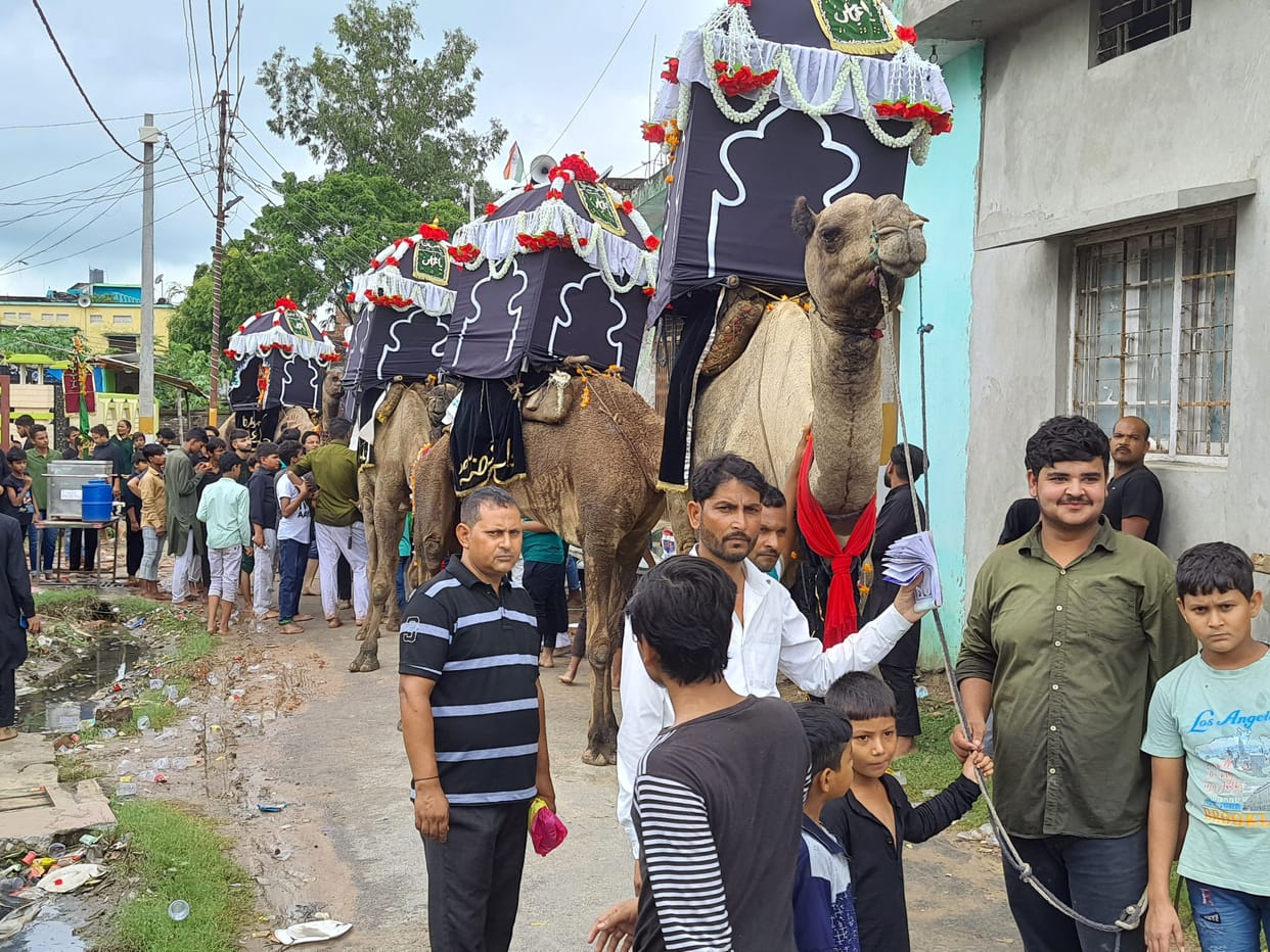 chehallum celebrated