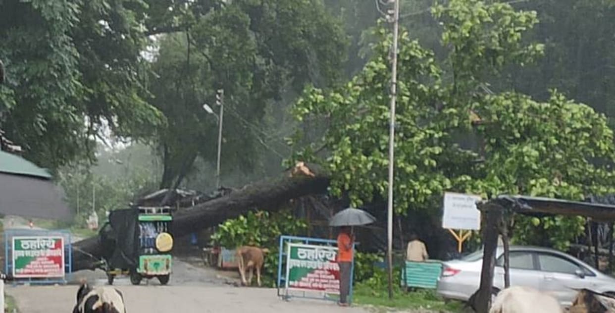 Yellow alert of heavy rain in four districts including Dehradun