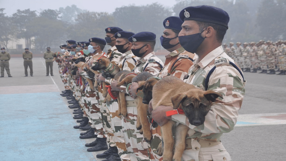 ITBP promotes 64 Head Constables of Animal Transport cadre to ASI