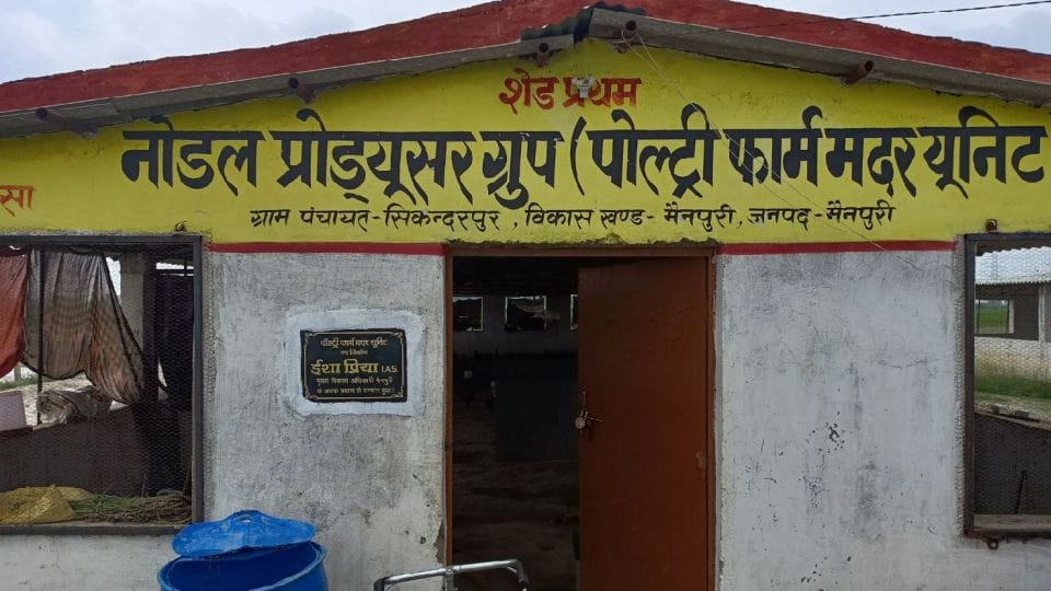 Women earning money from poultry farming in agra