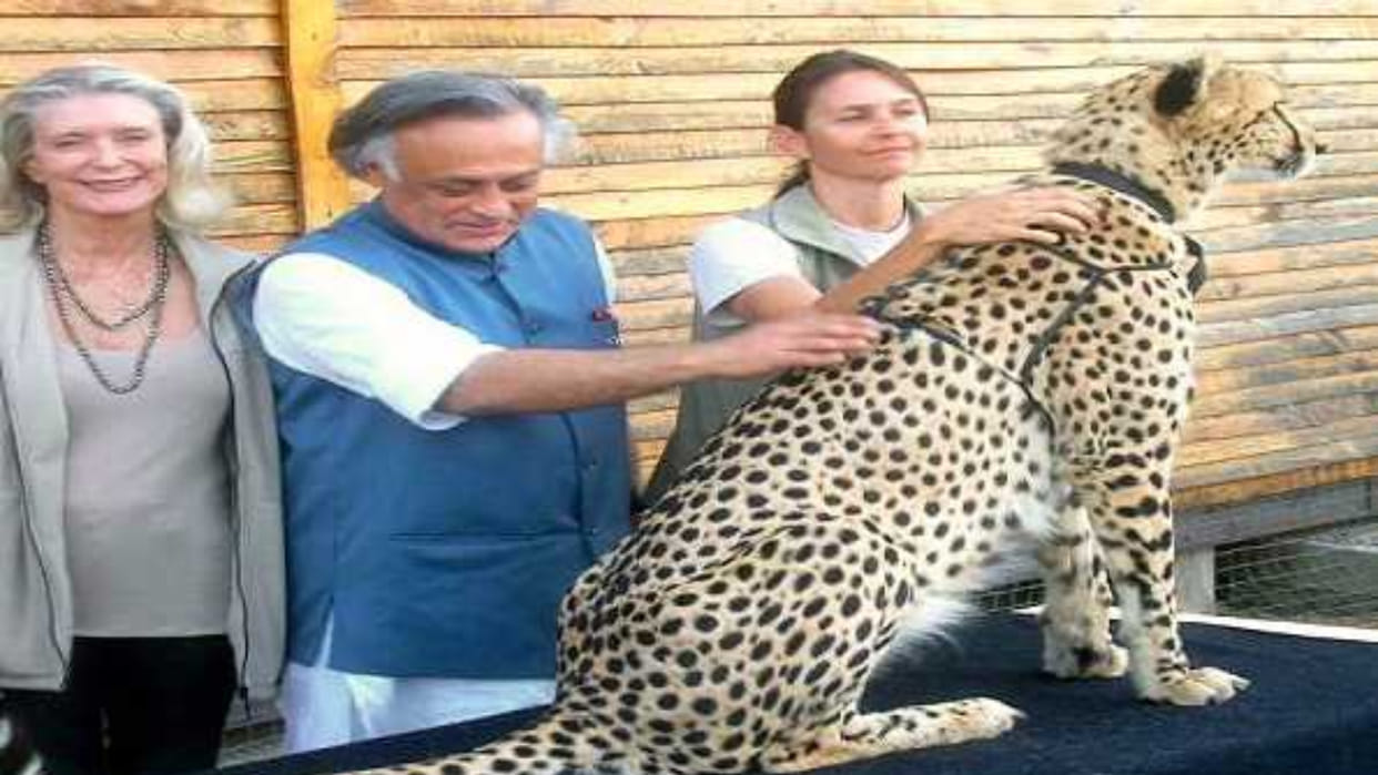 UPAs Project Cheetah was declared wrong by the Supreme Court