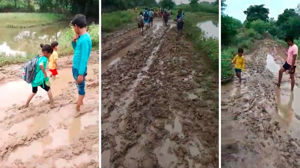 Damoh: School children walking barefoot through muddy road