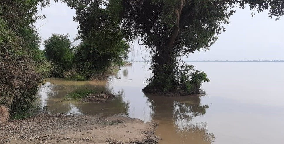 Saryu river 26 cm above danger mark
