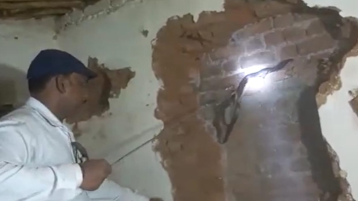 Cobra entered the house in Chhindwara, broke the wall and rescued the snake read in hindi