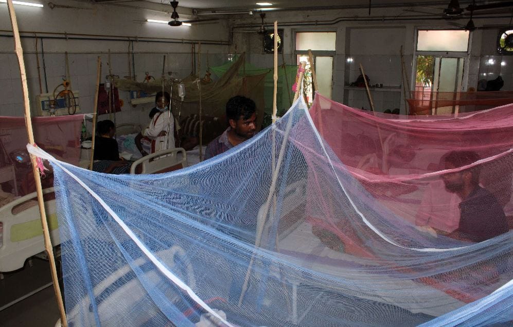 Dengue cases increasing rapidly in Delhi doctors said do not panic about platelets follow this advice