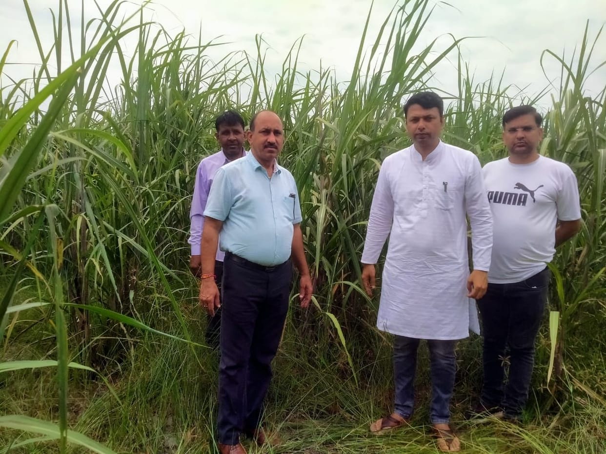 Grant of up to five thousand for adopting new technology of sugarcane production
