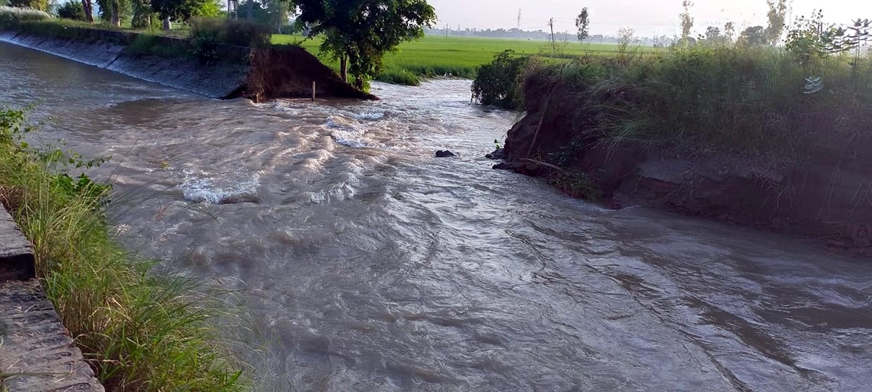 Hundreds of acres of crops submerged due to the breakdown of canal tracks