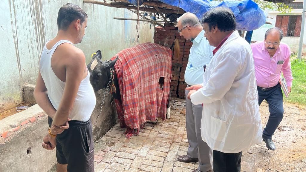 Kanpur Dehat: Lumpy virus knock, four cattle in the grip, ban on transportation of animals and markets