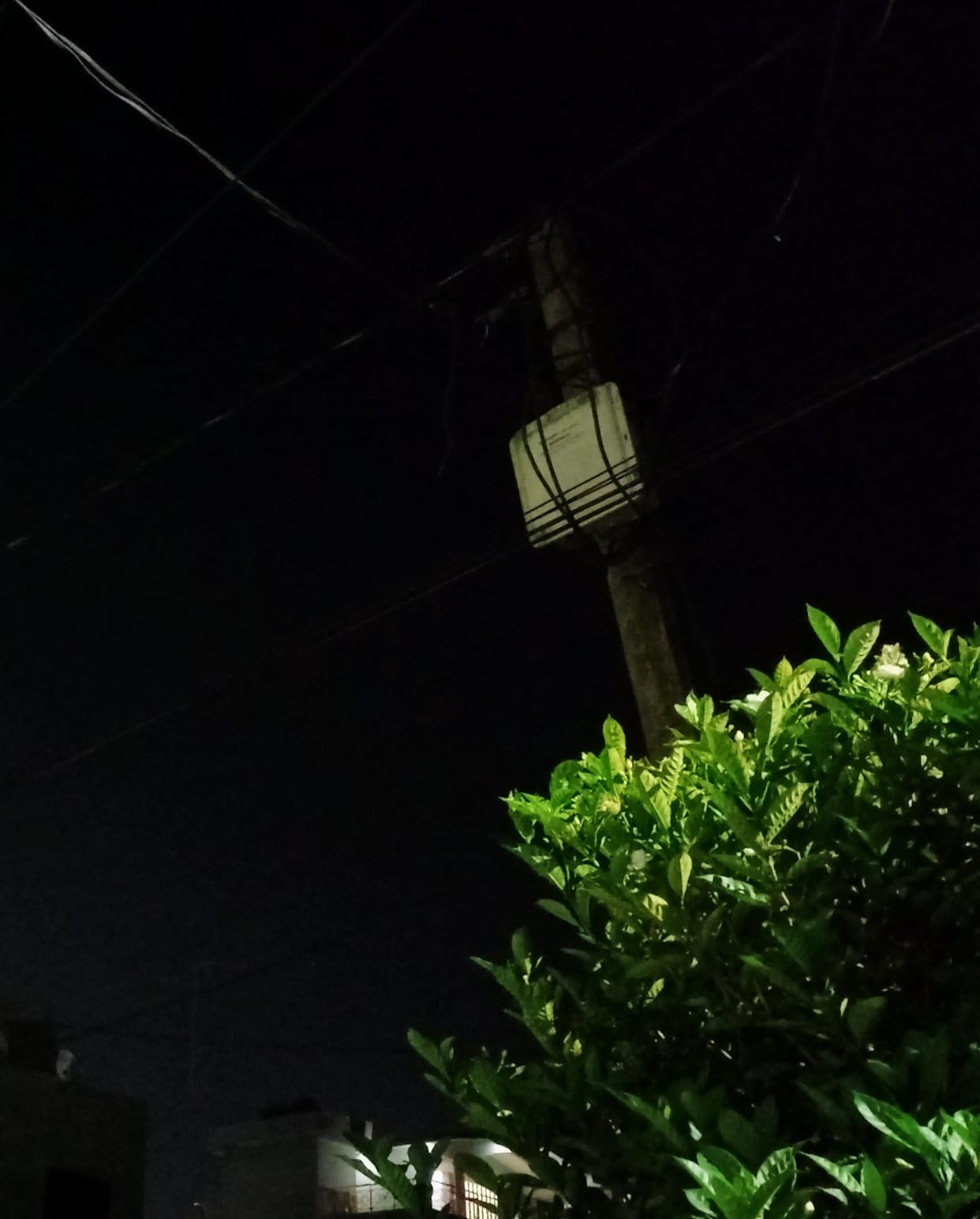 Dehradun Nagar Nigam: Darkness in wards, street lights became showpieces