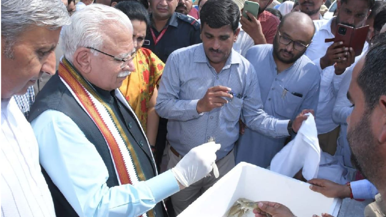 Government will give advance subsidy to fish farmers in Haryana