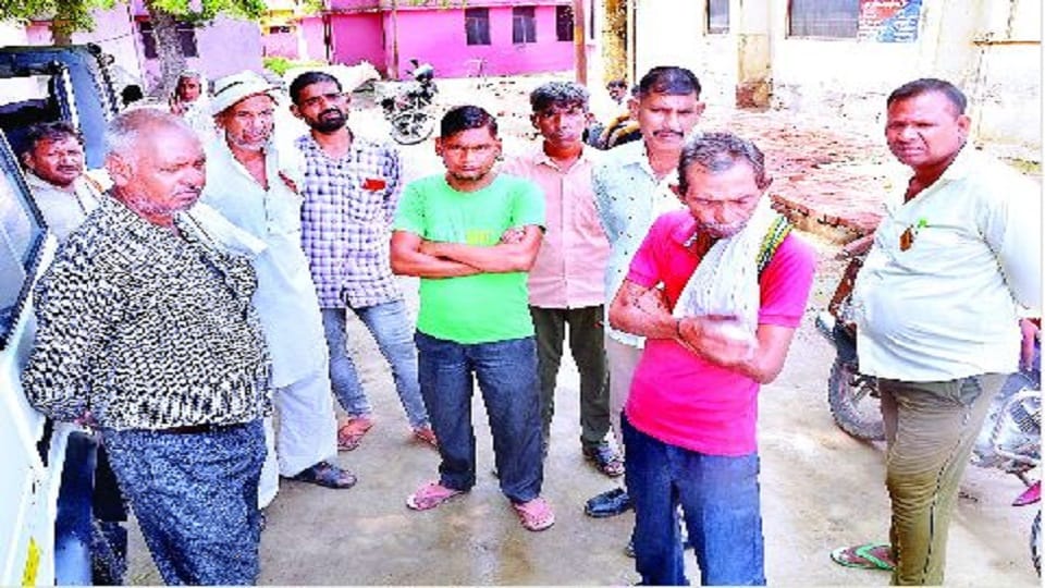Injured fruit seller died due to bull attack  angry villagers beat with sticks and killed