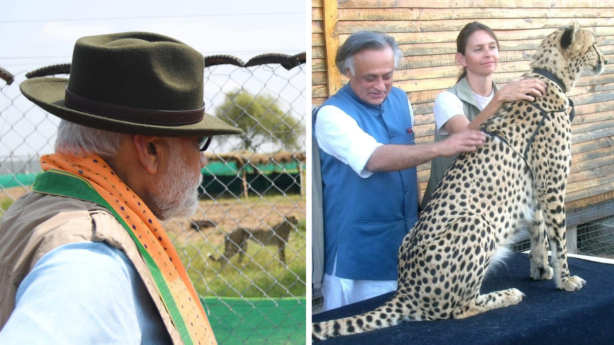 Congress Gen Secy jairam ramesh released Project Cheetahs letter of 2009 on Twitter targeted PM Narendra Modi