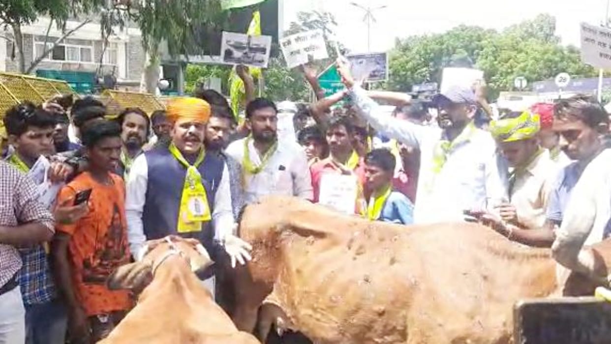 Rashtriya Loktantrik Party Protest over the death of cows in Rajasthan
