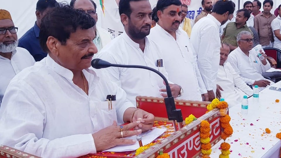 Mainpuri Byelection Results: People of Shivpal's bastion Jaswantnagar blessed daughter-in-law