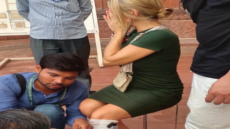 Action plan will be made to catch monkeys in Agra