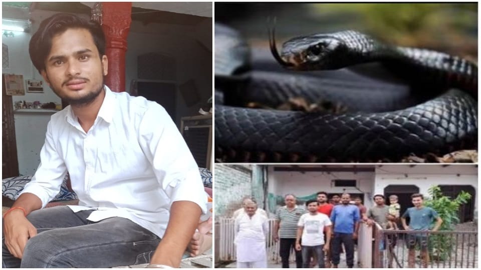 Snake Bite again Rajat Chahar For six Time In Agra Up News