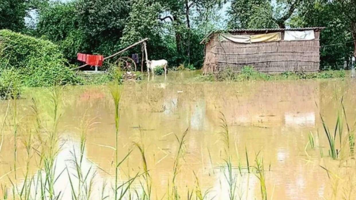 20 villages surrounded by flood, boat started running in ayodhya.