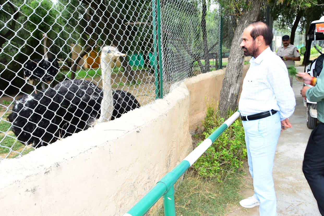 Lions and bears will soon be seen in the zoo