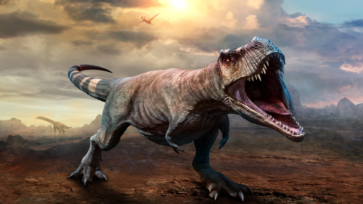 Dinosaurs were in decline even before extinction, study finds
