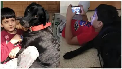 Rajasthan Dog Nawab Missing For Six Days In Jodhpur