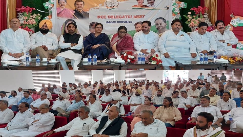 Jammu Kashmir Congress passes resolution to make Rahul national president
