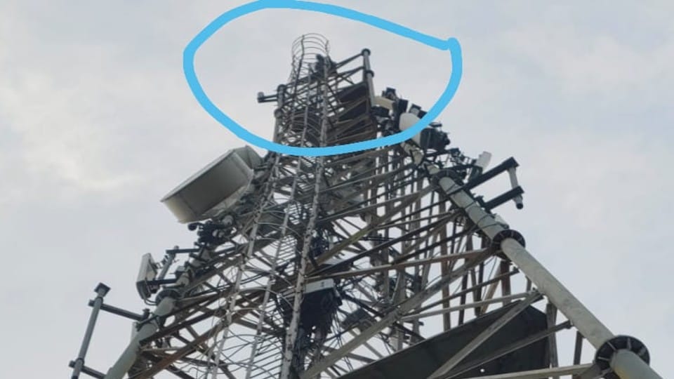 student father climbed mobile tower after lekhpal asked bribe for caste certificate in Agra