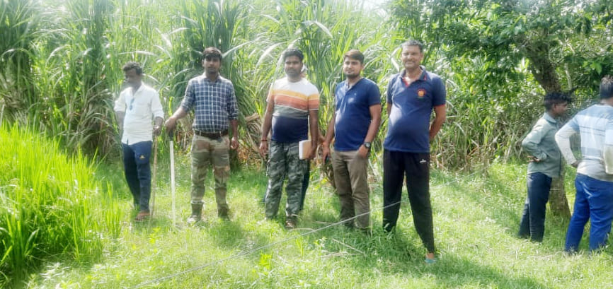 Farmers ran away after seeing a leopard in field in pilibhit puranpur area