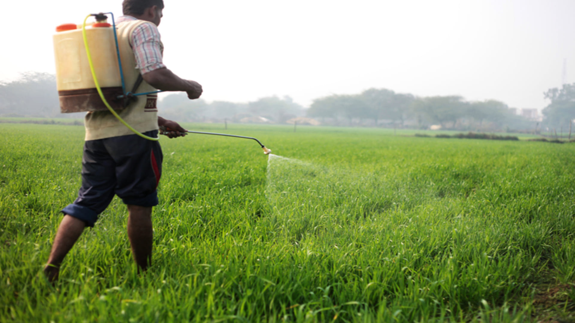 What is the PM PRANAM Scheme Know Expected Subsidy Amount on Chemical Fertilizers for Farmers