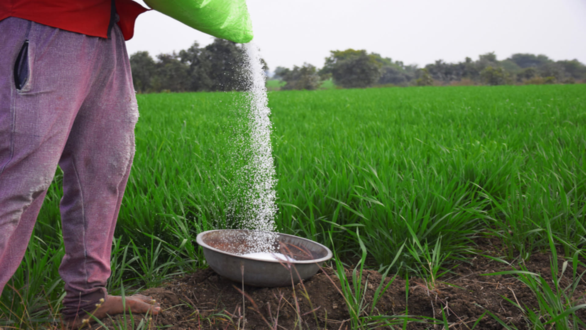 What is the PM PRANAM Scheme Know Expected Subsidy Amount on Chemical Fertilizers for Farmers