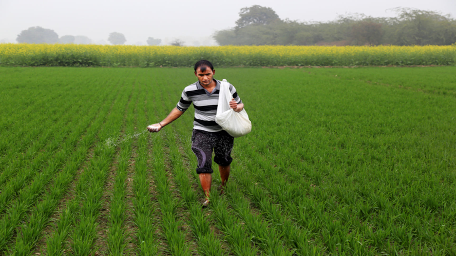 What is the PM PRANAM Scheme Know Expected Subsidy Amount on Chemical Fertilizers for Farmers