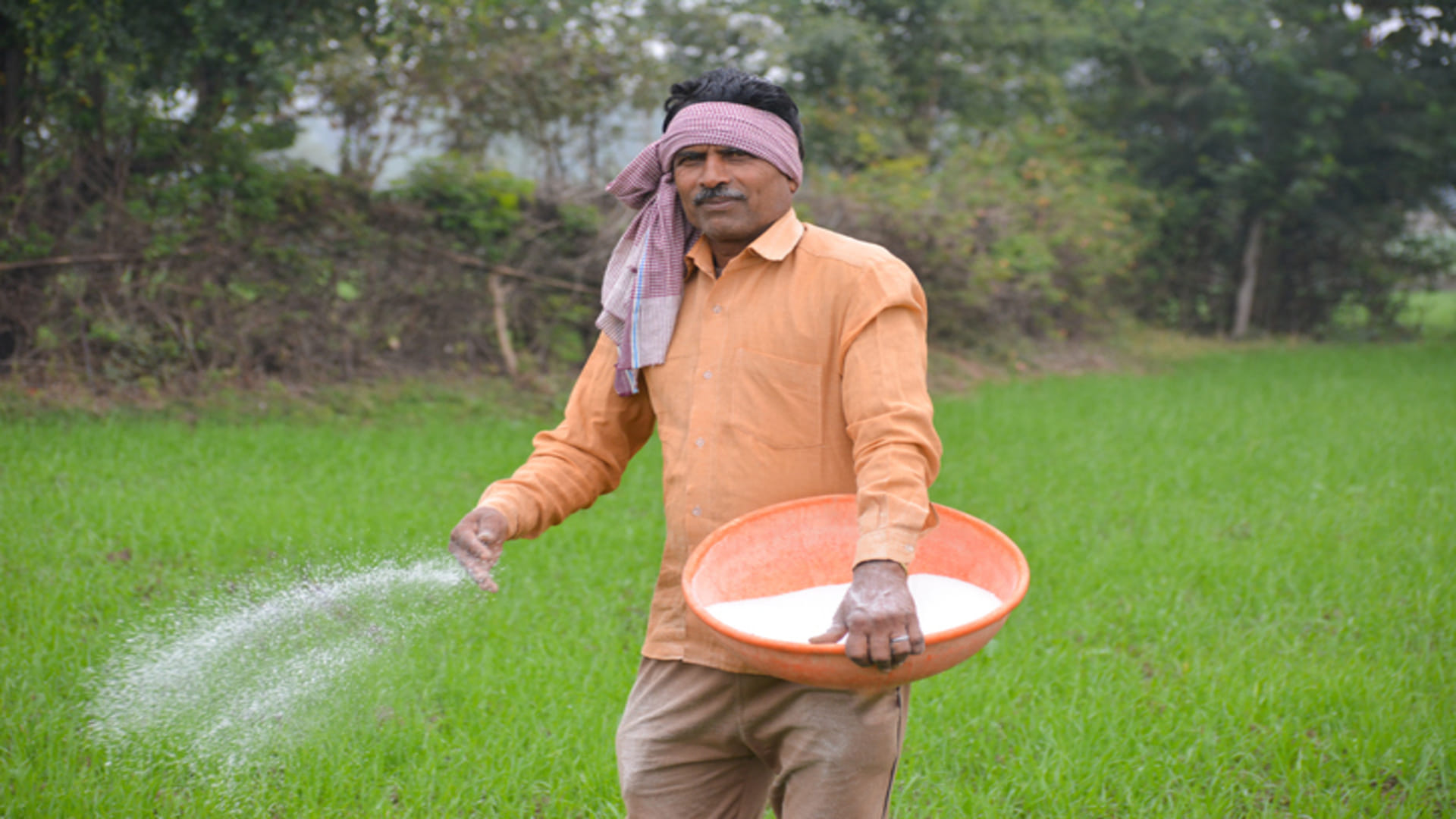 What is the PM PRANAM Scheme Know Expected Subsidy Amount on Chemical Fertilizers for Farmers