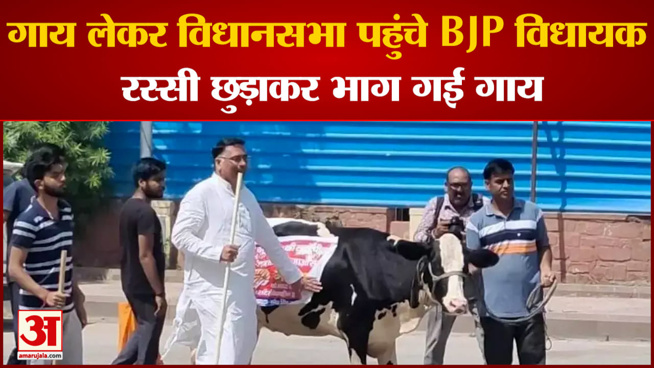 राजस्थान विधानसभा