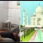 स्पेन की युवती को बंदर ने काटा