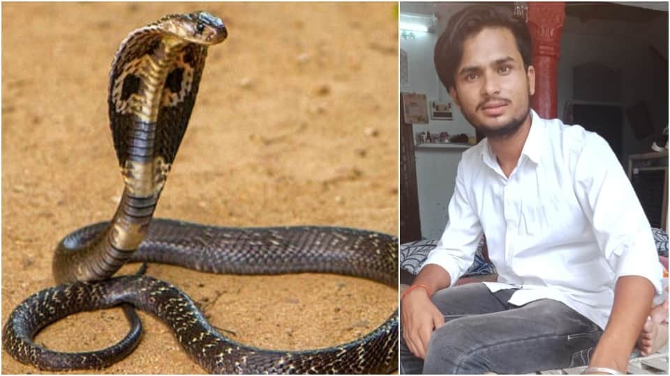 Rajat Chahar bitten by snake Eight time tantriks-treated In Agra Up News