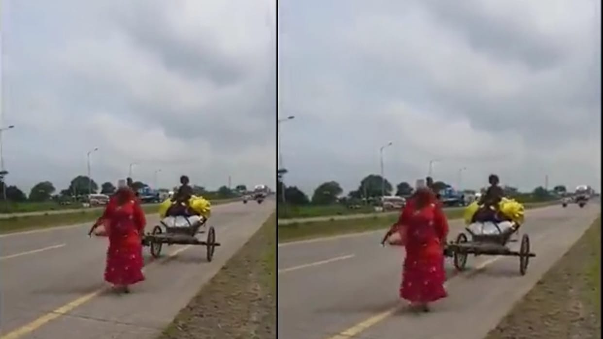 Widow mother became bull to raise children, traveled on foot by putting children in bullock cart