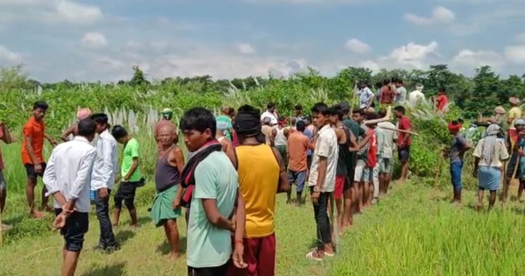 Farmer dies due to tiger attack, panic among people
