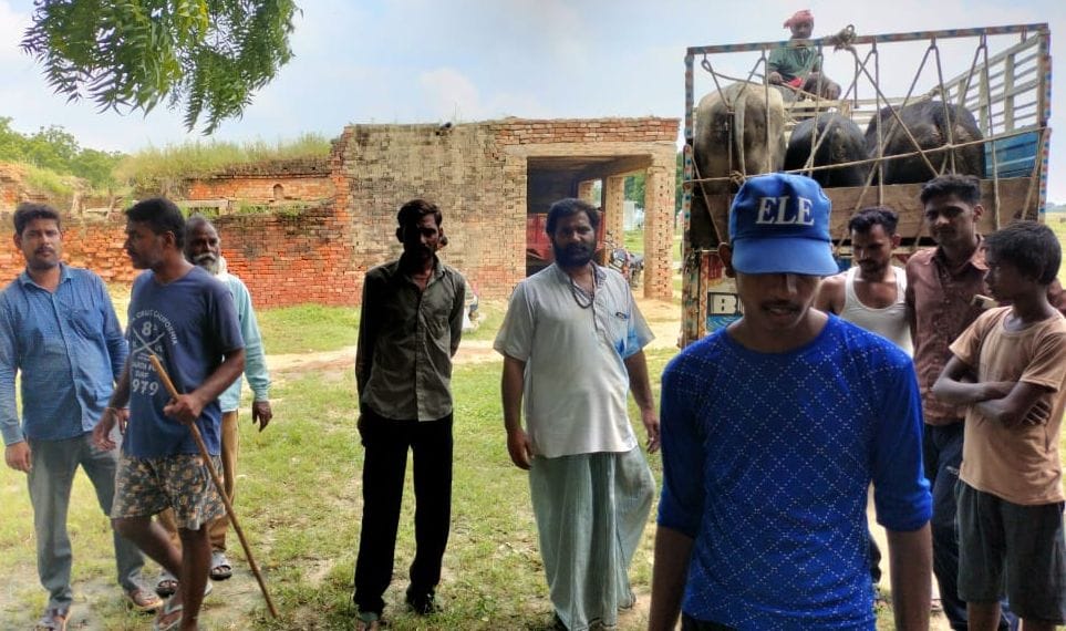 Kanpur Dehat : On not listening to the administration, farmers donated and sent cattle to Ghatampur Gaushala