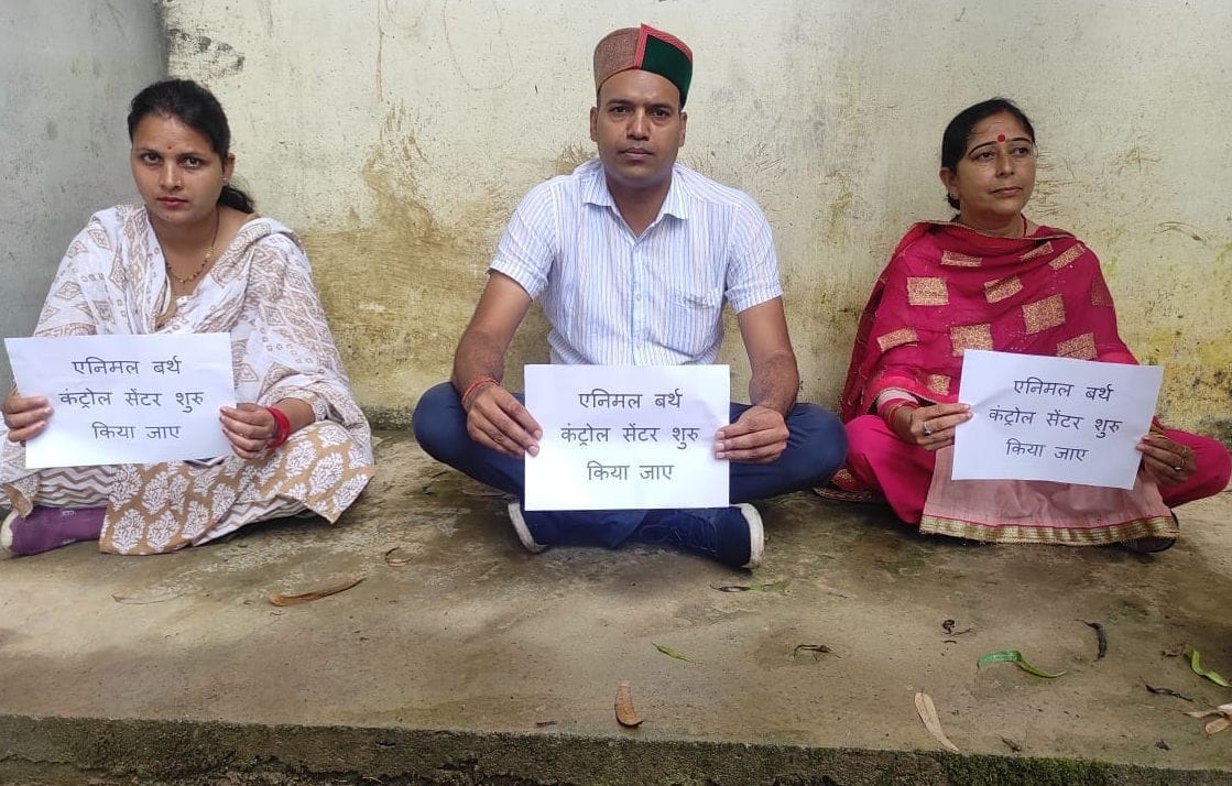 mandi news himachal news jogindernagar demonstration dog sterilization center not working