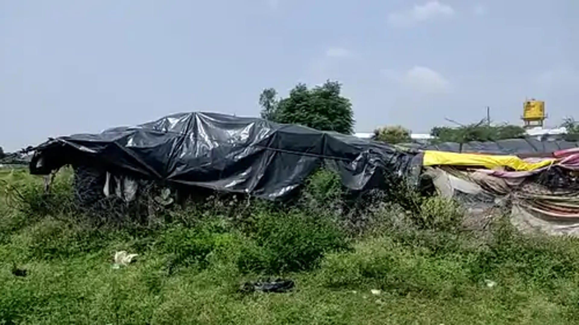 Widow mother became bull to raise children, traveled on foot by putting children in bullock cart
