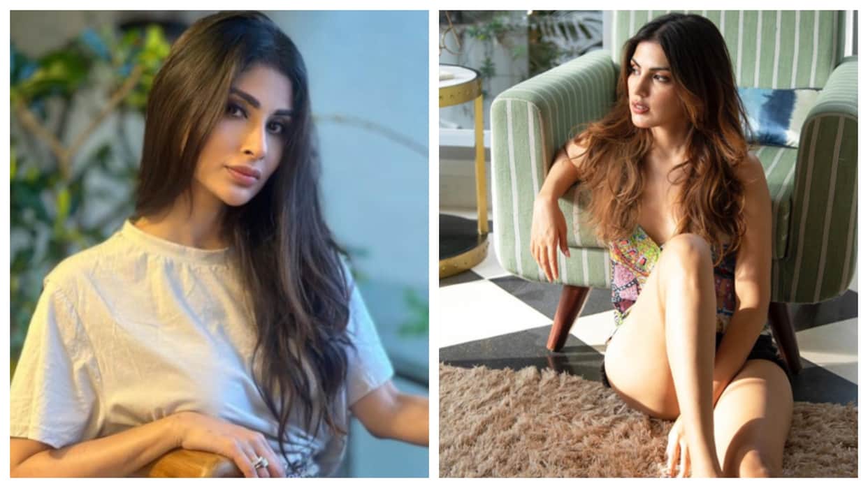 Photos Of The Day: Janhvi Kapoor Shama Sikander Palak Tiwari Bold Look Hrithik Roshan Also Shares Photo