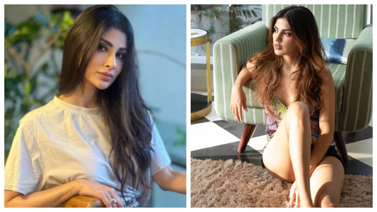 Photos Of The Day: Janhvi Kapoor Shama Sikander Palak Tiwari Bold Look Hrithik Roshan Also Shares Photo