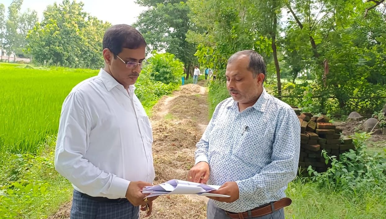 dso inspected development works