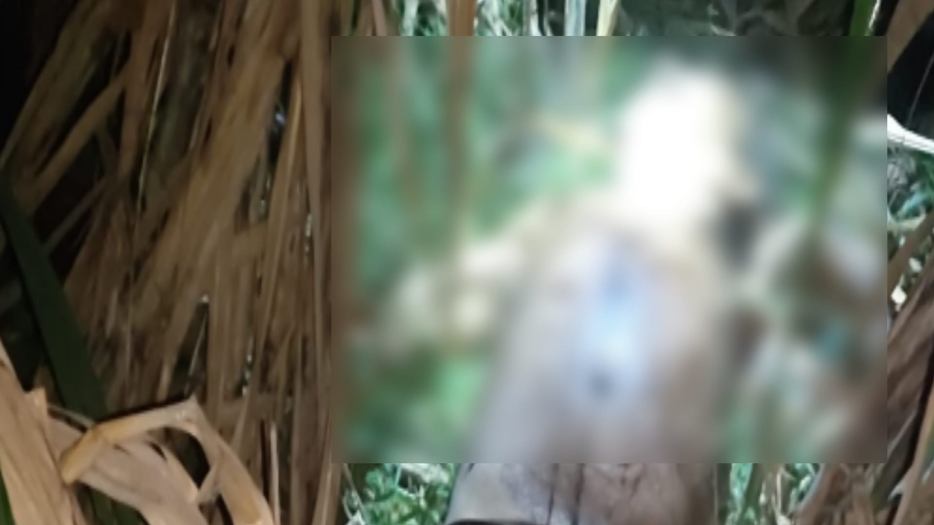 Murder Story: Boy killed his uncle for land dispute in Partapur Meerut have no regrets