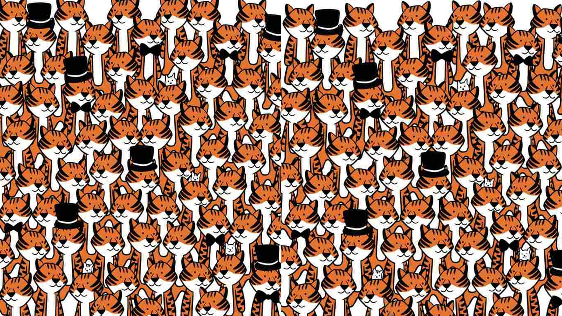 Viral Optical Illusion: Find Out Hidden Cat from Image Check Your Brain IQ