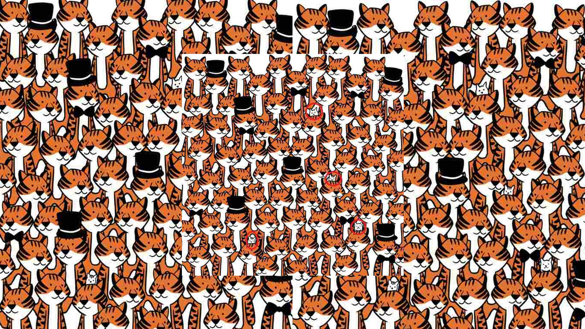 Viral Optical Illusion: Find Out Hidden Cat from Image Check Your Brain IQ