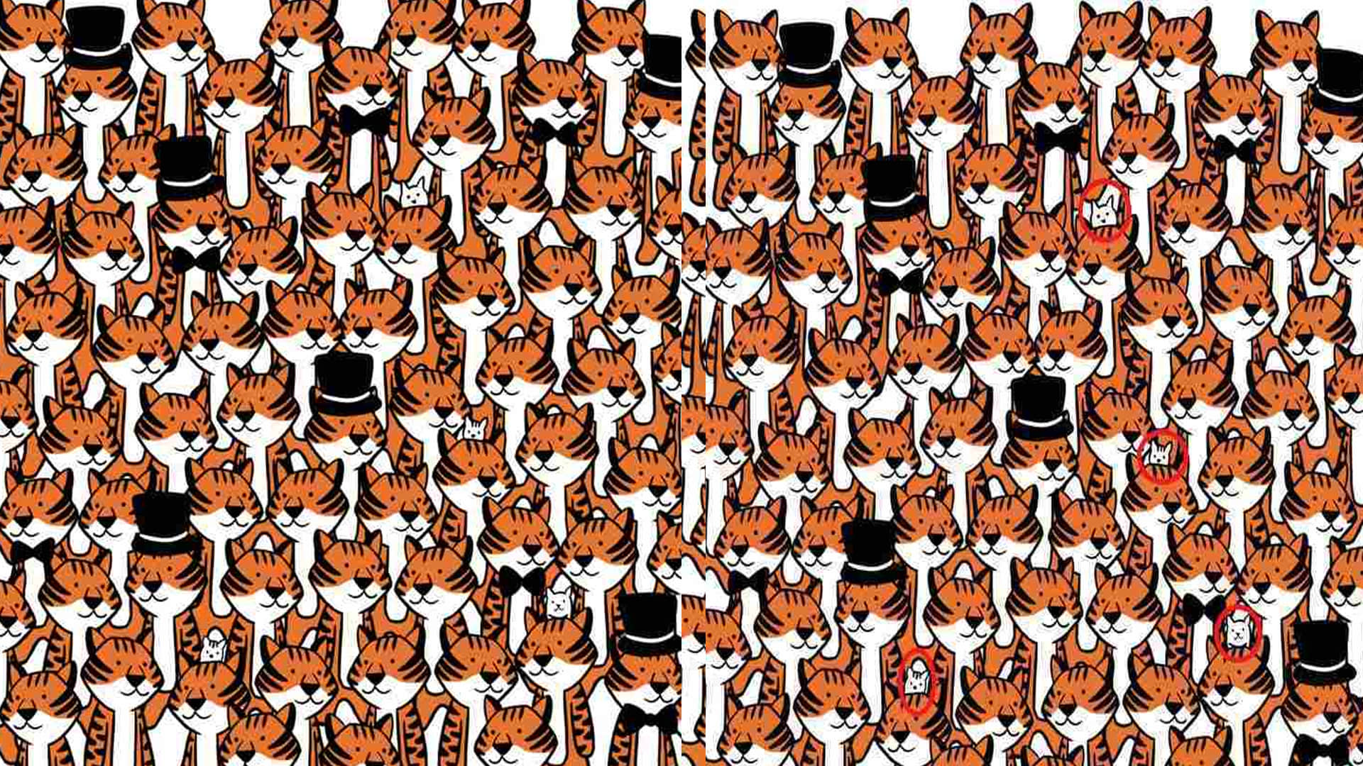 Viral Optical Illusion: Find Out Hidden Cat from Image Check Your Brain IQ