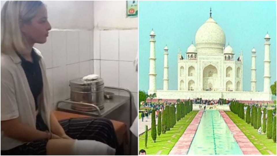 Monkeys Attack bengal Tourist At Taj Mahal