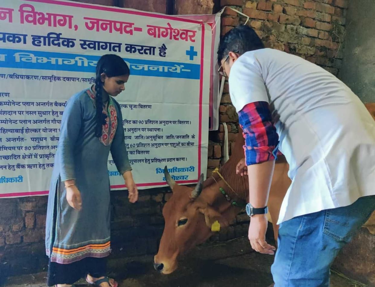 Bageshwar May Have Lumy Like Disease