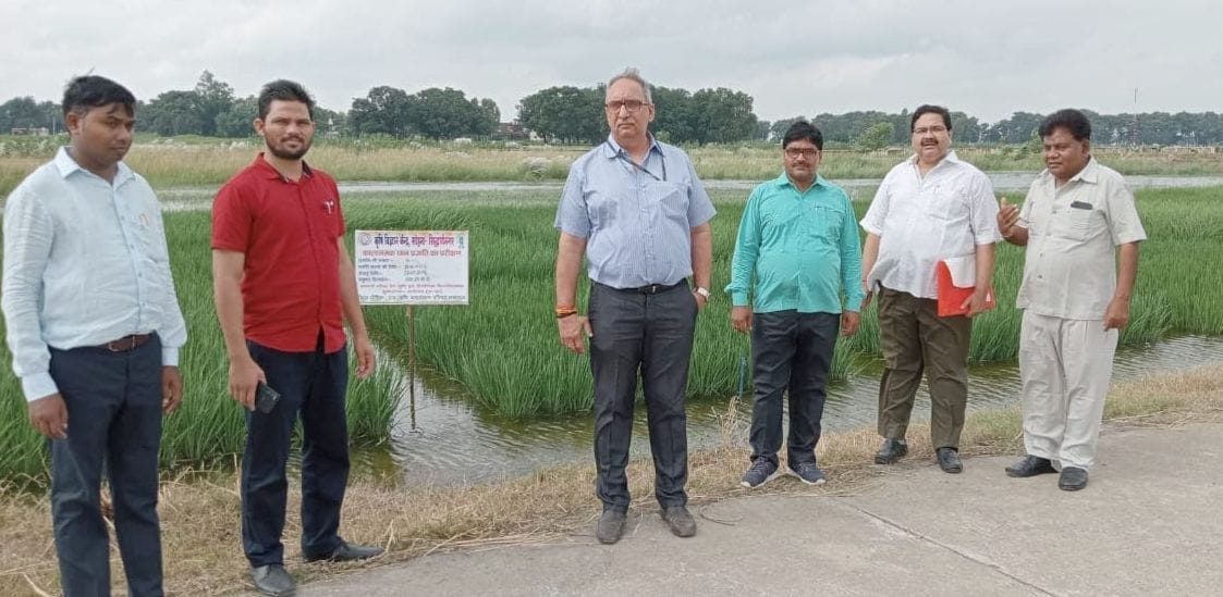 work on traditional seed of kalanamak