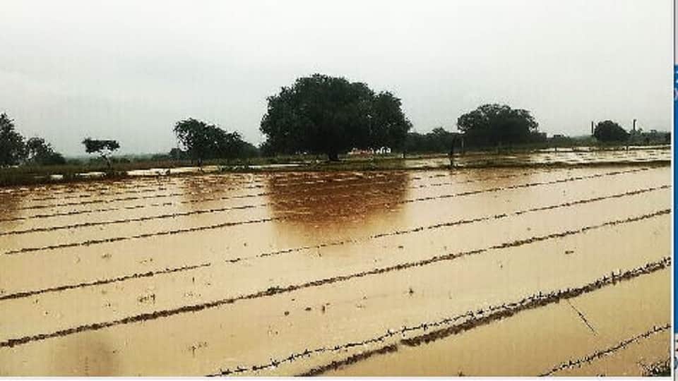 Heavy rain cars parked in the parking lot drowned people jammed the service road in Firozabad